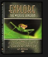 DVD-Hidden-World-3D_sm.jpg