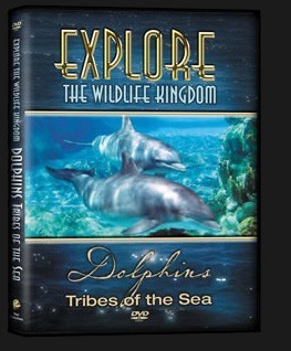 DVD-Dolphins-3D.jpg