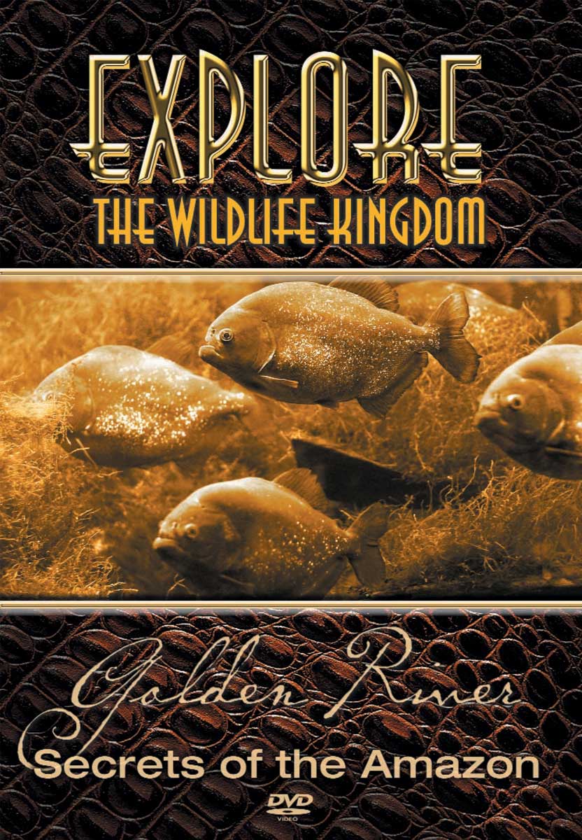 Explore The Wildlife Kingdom : GOLDEN RIVER  Secrets of the Amazon - DVD