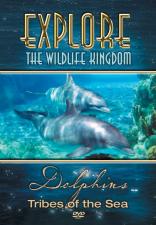 explore-dolphins-dvd-cover