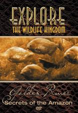 explore-golden-river-dvd-cover