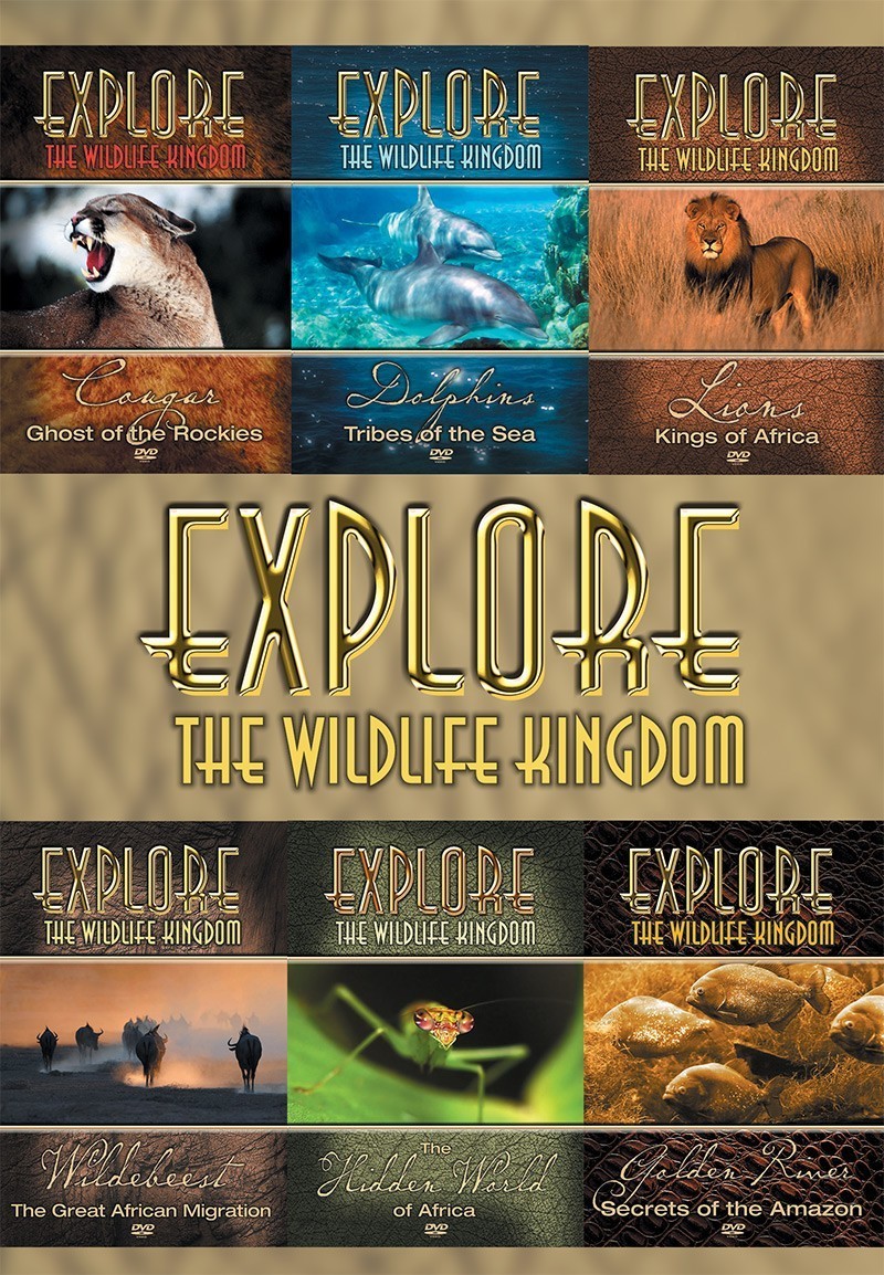 VALUE 6-PACK - Explore The Wildlife Kingdom Series - DVD 