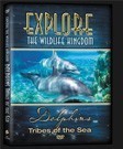 tn-DVD-Dolphins-3D.jpg